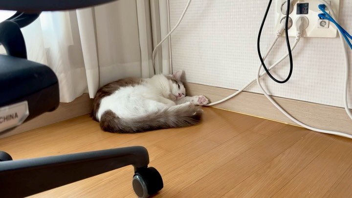 mongsom2 게시물 이미지: 어이어이 정신차려... 아직 화요일이야