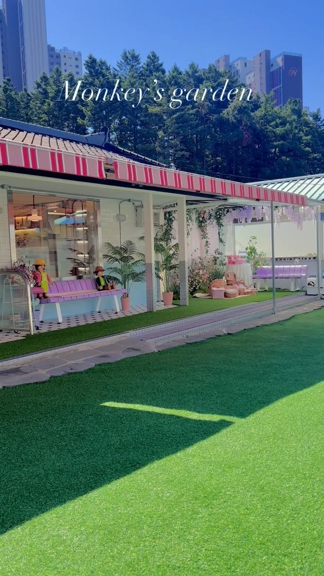 monkeys.garden 게시물 이미지: 강아지파티룸/강아지독채대관/강아지생파

멍키즈가든 9월🧡

9월은 멍키즈가든만의...