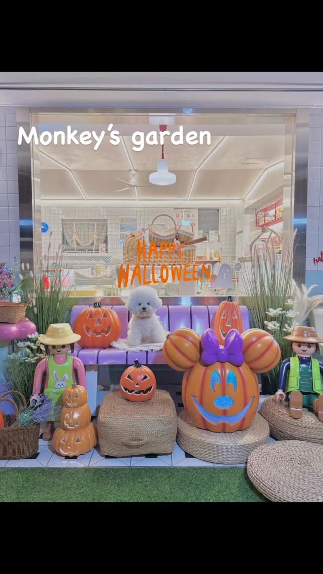 monkeys.garden 게시물 이미지: 강아지파티룸 / 강아지독채 단독대관
강아지생일파티 / 강아지소모임 /...
