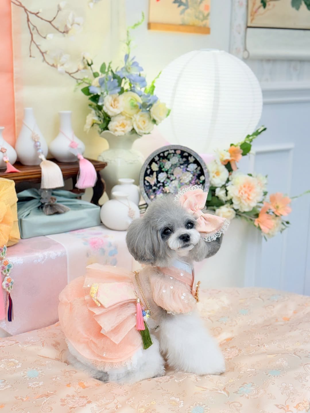Photo shared by 도도한 요정 빛나💖 on October 03, 2025 tagging @maison_de2199, and @monkeys.garden. May be an image of Bedlington terrier and text.