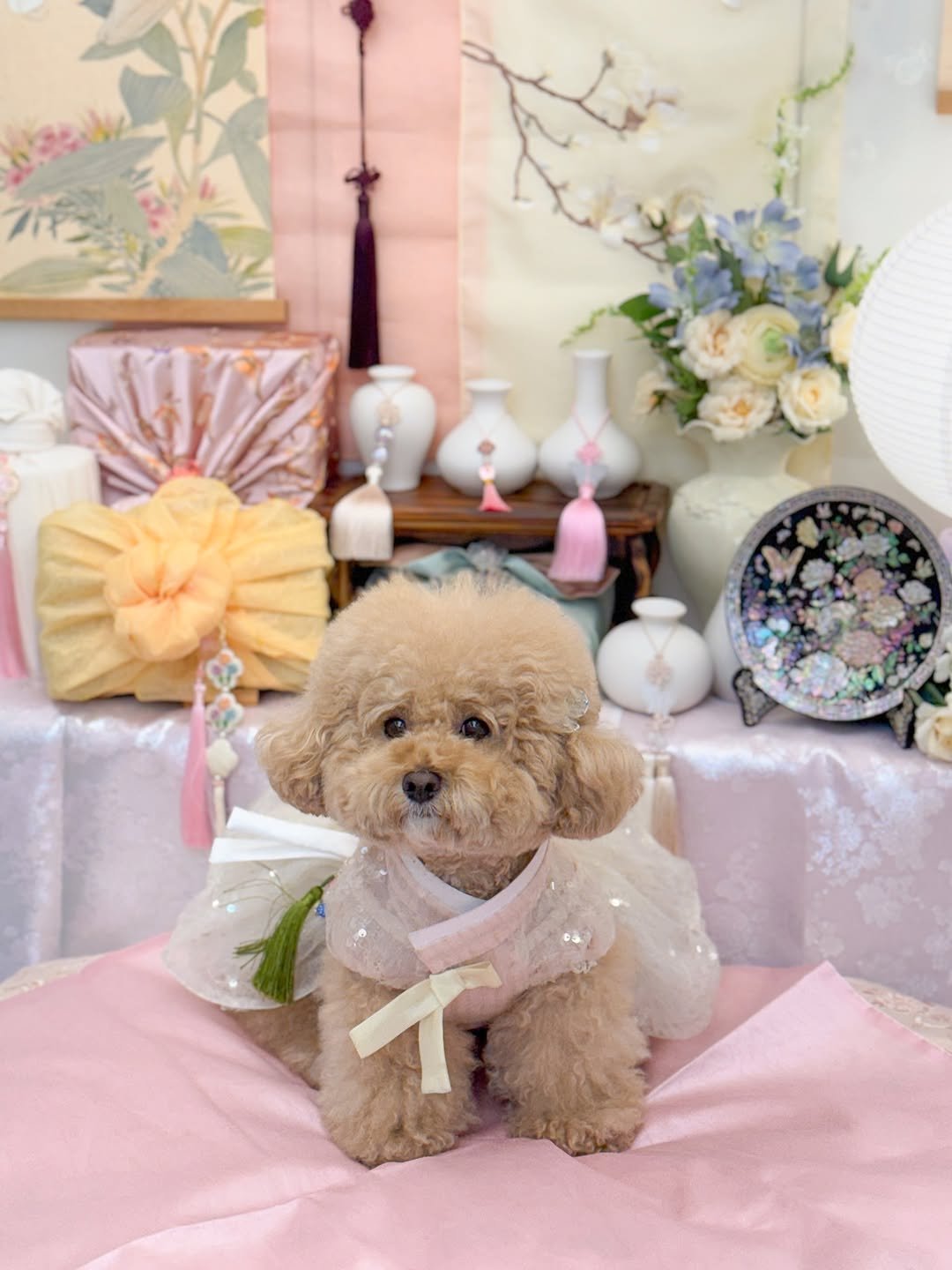 Photo shared by 크림푸숑 호두 ✩‧₊ 𝗵𝗼𝗱𝗼𝗼 ₊‧✩ on October 04, 2025 tagging @maison_de2199, and @monkeys.garden. May be an image of dog and text.