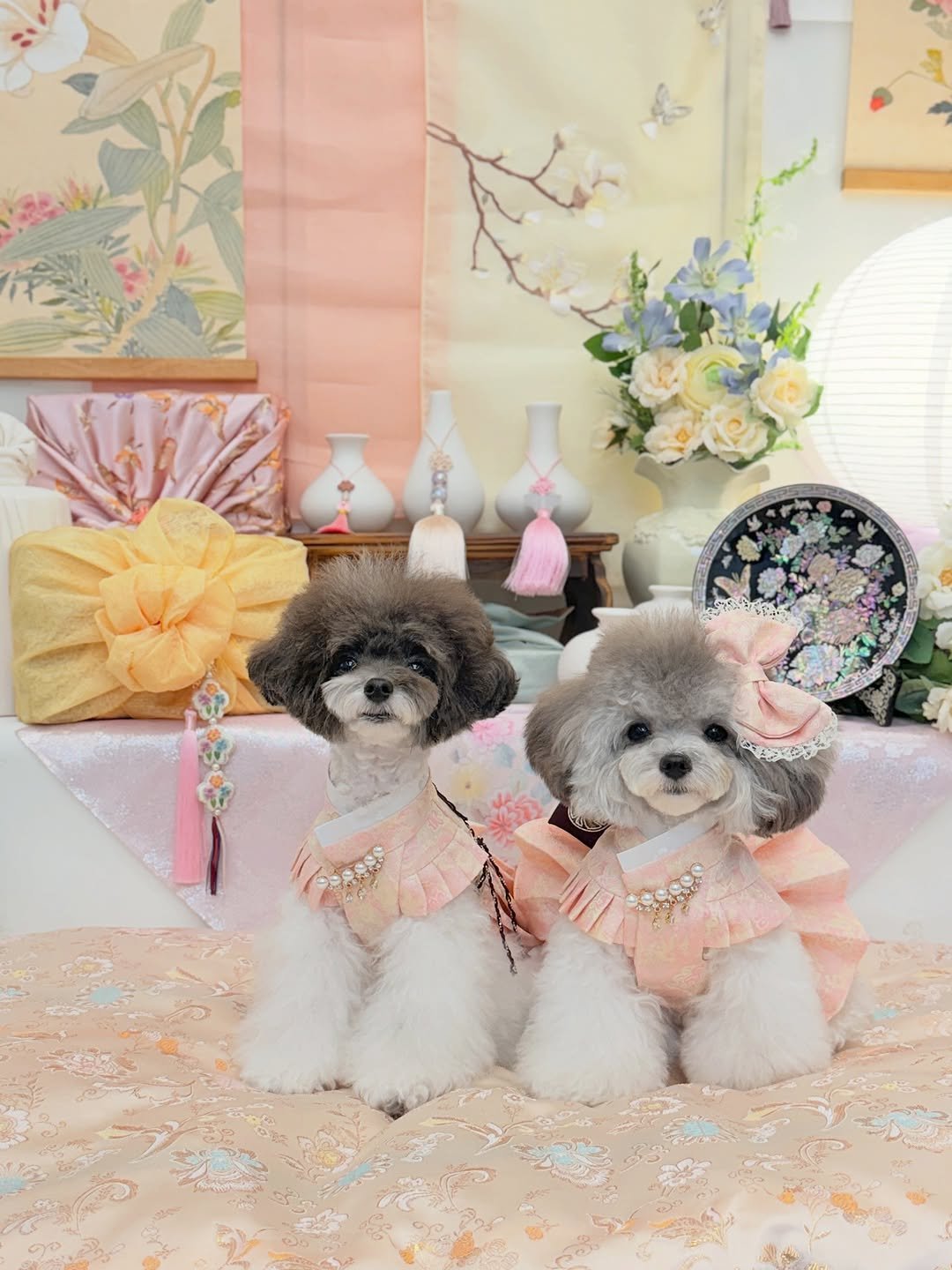 Photo shared by 레오•모나 (ℛ𝑒𝓂𝑜𝓃𝒶)/푸들남매/ on September 23, 2025 tagging @maison_de2199, and @monkeys.garden. May be an image of pet and text.