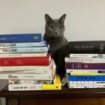 humanitasbook 프로필 사진