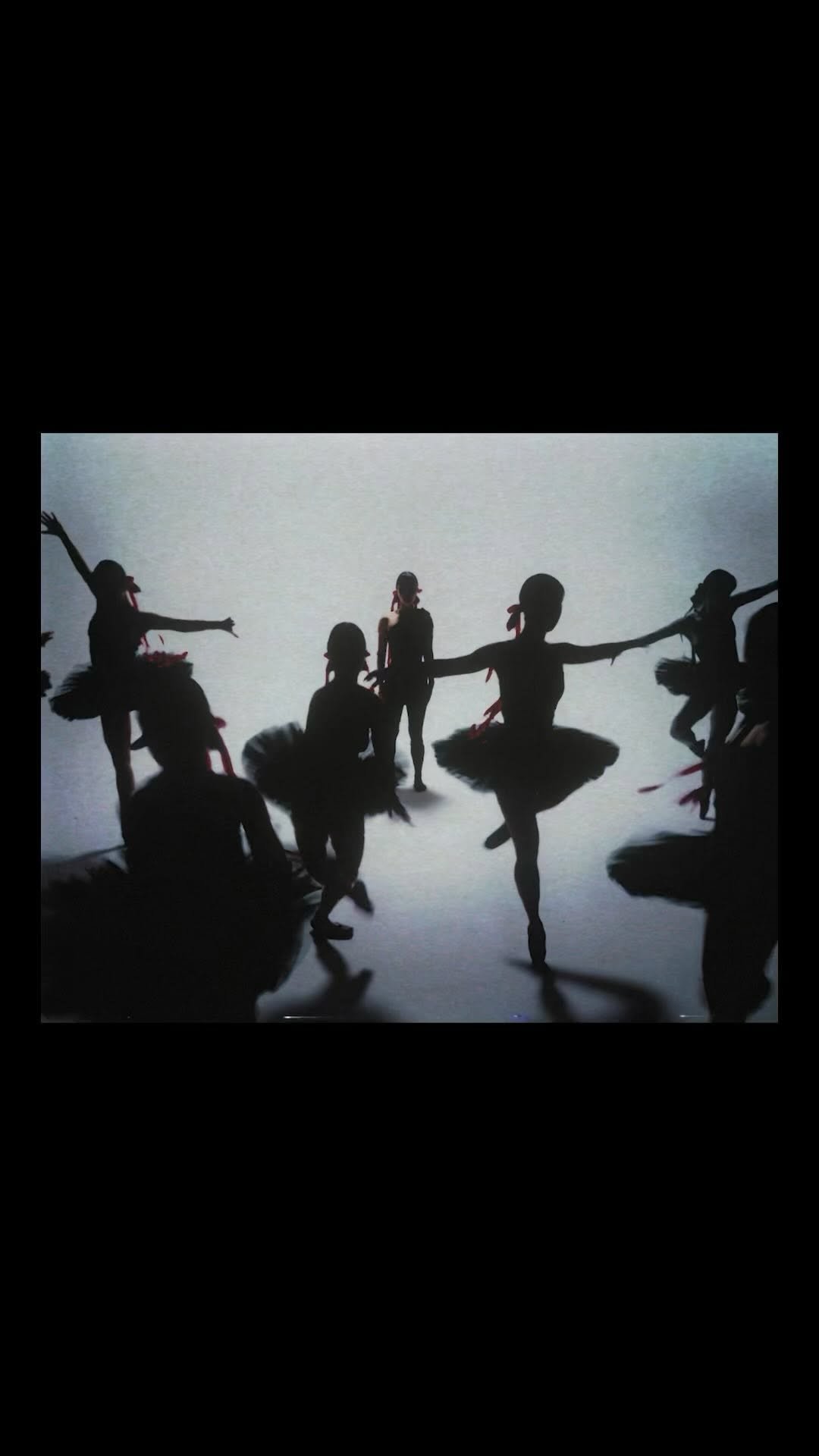 moodydarkroom 게시물 이미지: Paths //