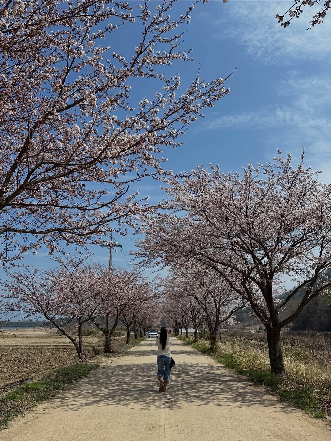 moogiii__ 게시물 이미지: 아 진짜 고성 살고 싶따!!🌊