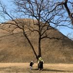 boya__ni 프로필 사진