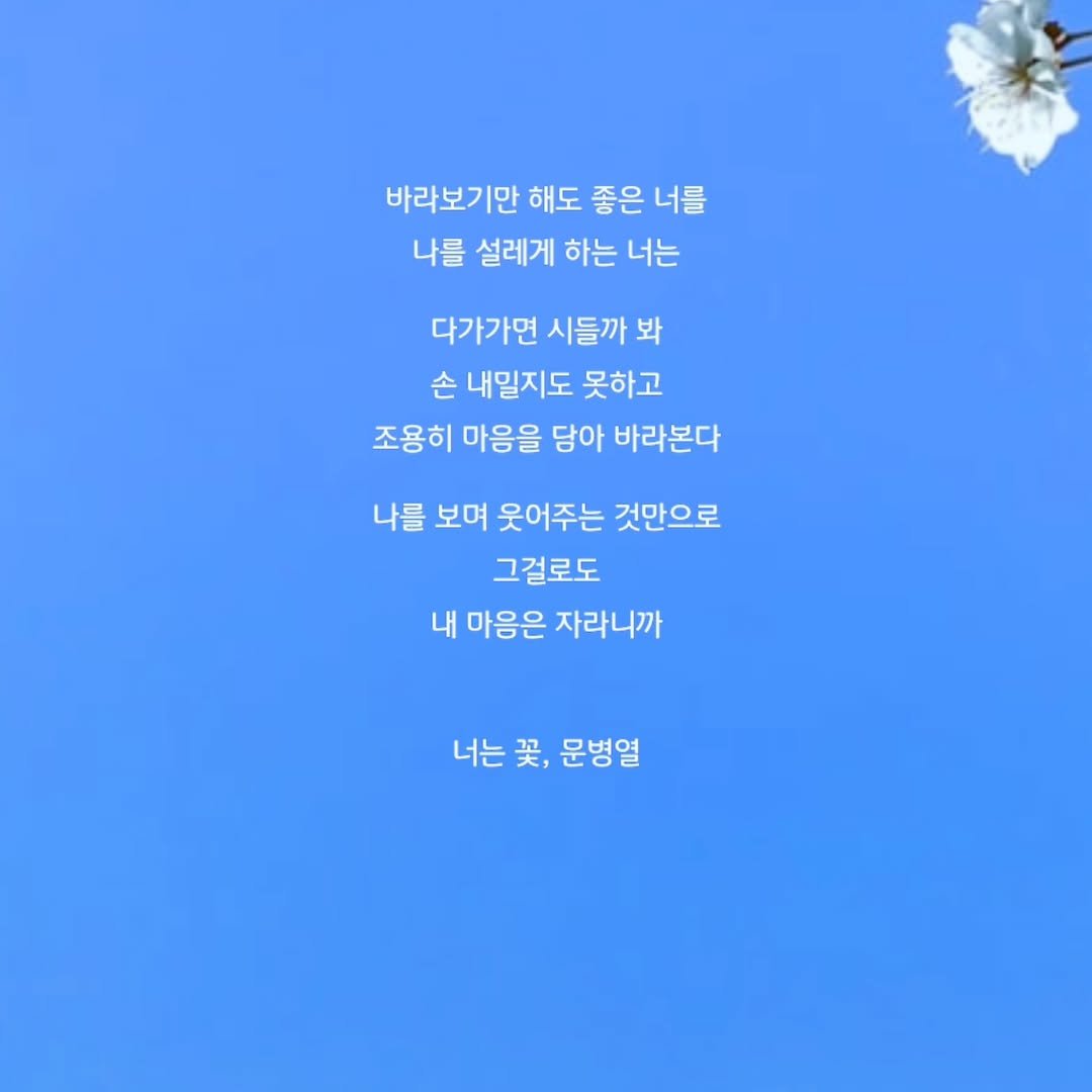 Photo by 문병열, 글 on June 24, 2025. May be an image of text that says '바라보기만 해도 좋은 너를 나를 설레게 하는 너는 다가가면 시들까 봐 손 내밀지도 못하고 조용히 마음을 담아 바라본다 나를 보며 웃어주는 것만으로 그걸로도 내 마음은 자라니까 너는 契, 문병열'.