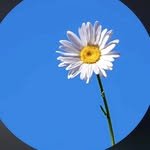 moon_b10 인스타그램 프로필 사진