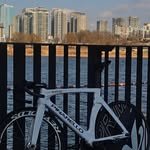 y._jooni 프로필 사진