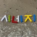 shinezeee 프로필 사진