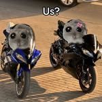 ray_bicycle777 프로필 사진