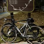 opf._.studio 프로필 사진