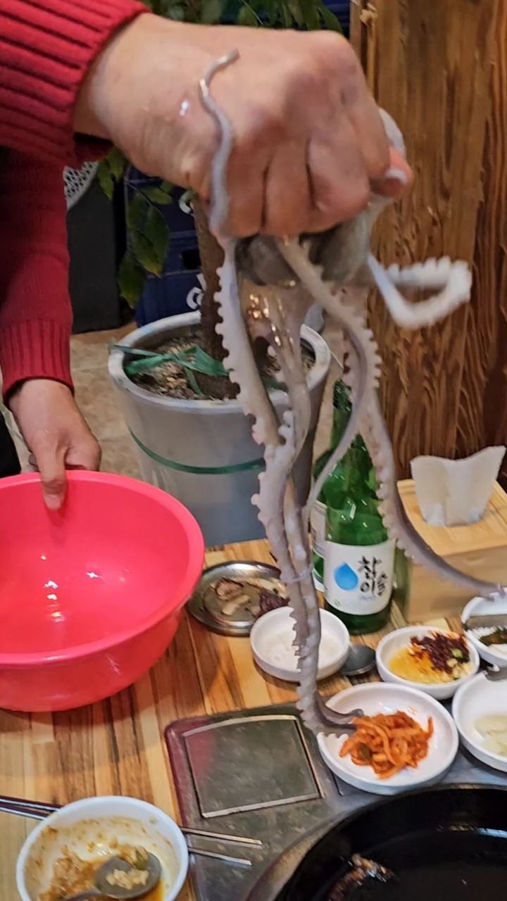 moonchelin.chef 게시물 이미지: 소고기 구운 불판에 구운 낙지 드셔보셨나요? #거기뭉티기

뭉티기로 시작해서 낙지로...