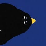 sichee.now 프로필 사진