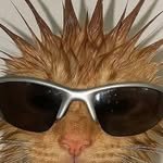 dduchinja 프로필 사진