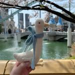 bombom_knitting 프로필 사진