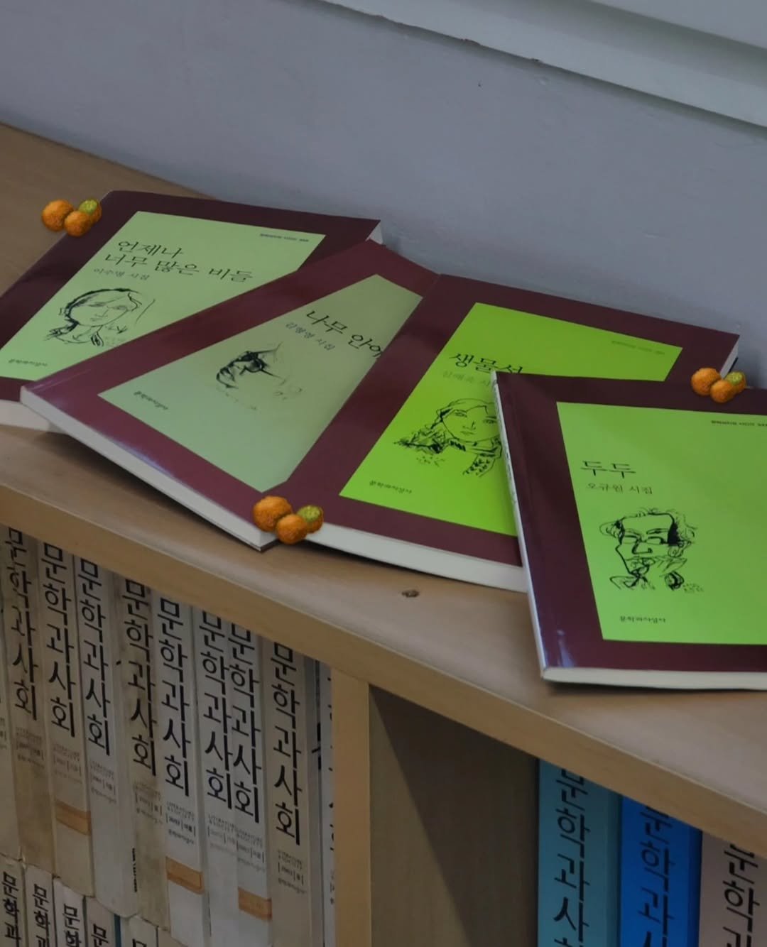 Photo shared by 문학과지성사 한국문학팀 on February 02, 2026 tagging @moonji_books. May be an image of book and gourd.