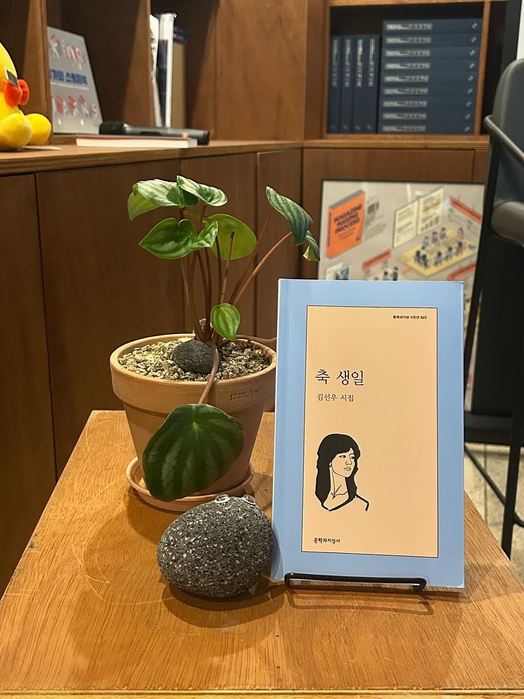 Photo by 문학과지성사 한국문학팀 on September 28, 2025. May be an illustration of house plant, book, picture frame, ivy, mistletoe cactus and text.