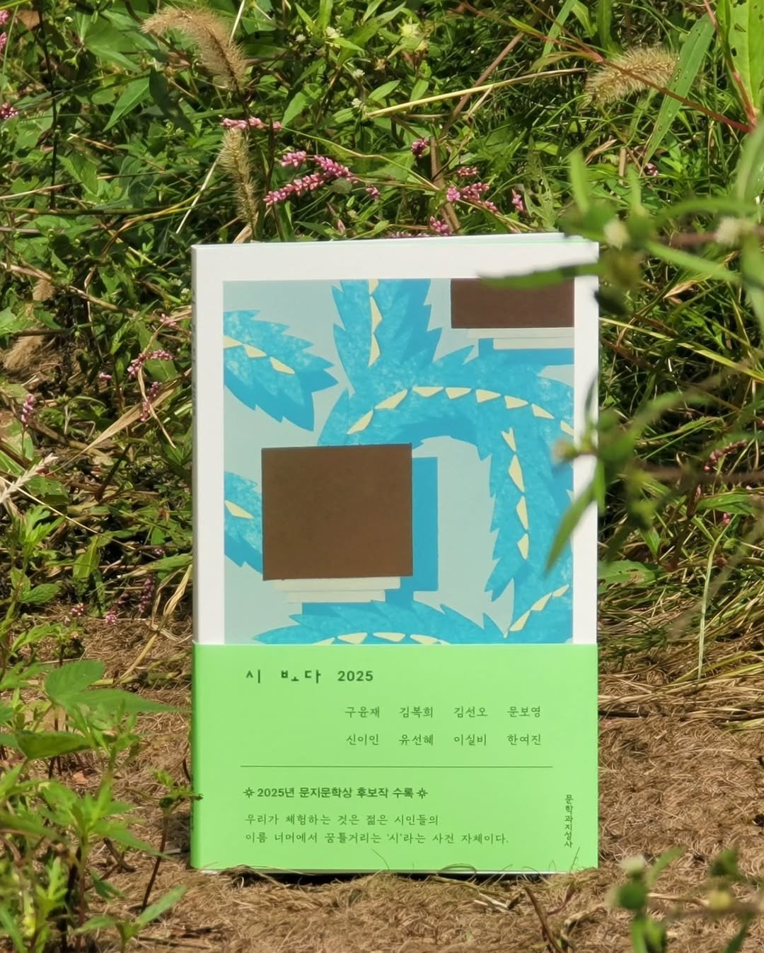 Photo shared by 문학과지성사 한국문학팀 on September 28, 2025 tagging @moonji_books, @sono__kim, @rimgorim, @opendooropenit, @lightboxes_, @molamola.me, @zzivus, @o_hahahan, and @yooseonhye. May be an image of book, poster, magazine and text.