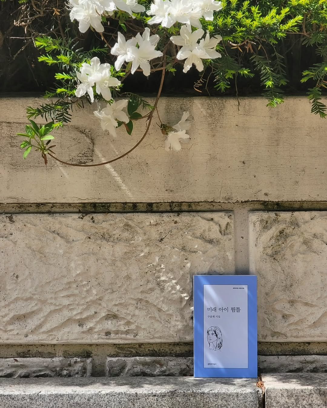 Photo shared by 문학과지성사 한국문학팀 on April 26, 2026 tagging @moonji_books, and @aozokei. May be an image of ‎wind chime, white lily and ‎text that says '‎P-- 미래 미래이아뽑들 아이 미래아이 찜들 구주시 ا +++94‎'‎‎.