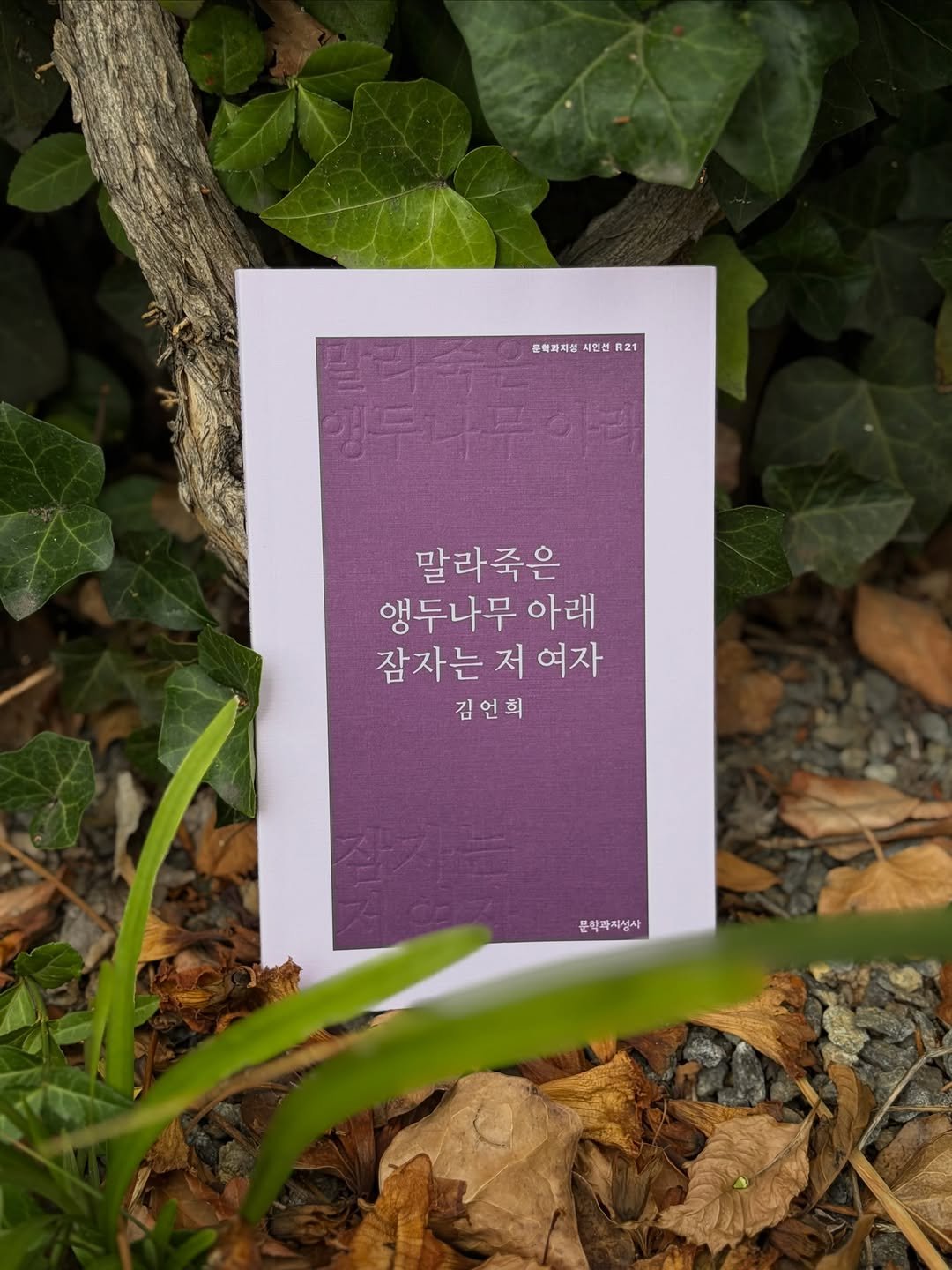moonji_hanguk 게시물 이미지: 🌧️

덥고 습한 여름 무탈히 보내고 계신가요? 습기 속에서 비인지 땀인지 모를...