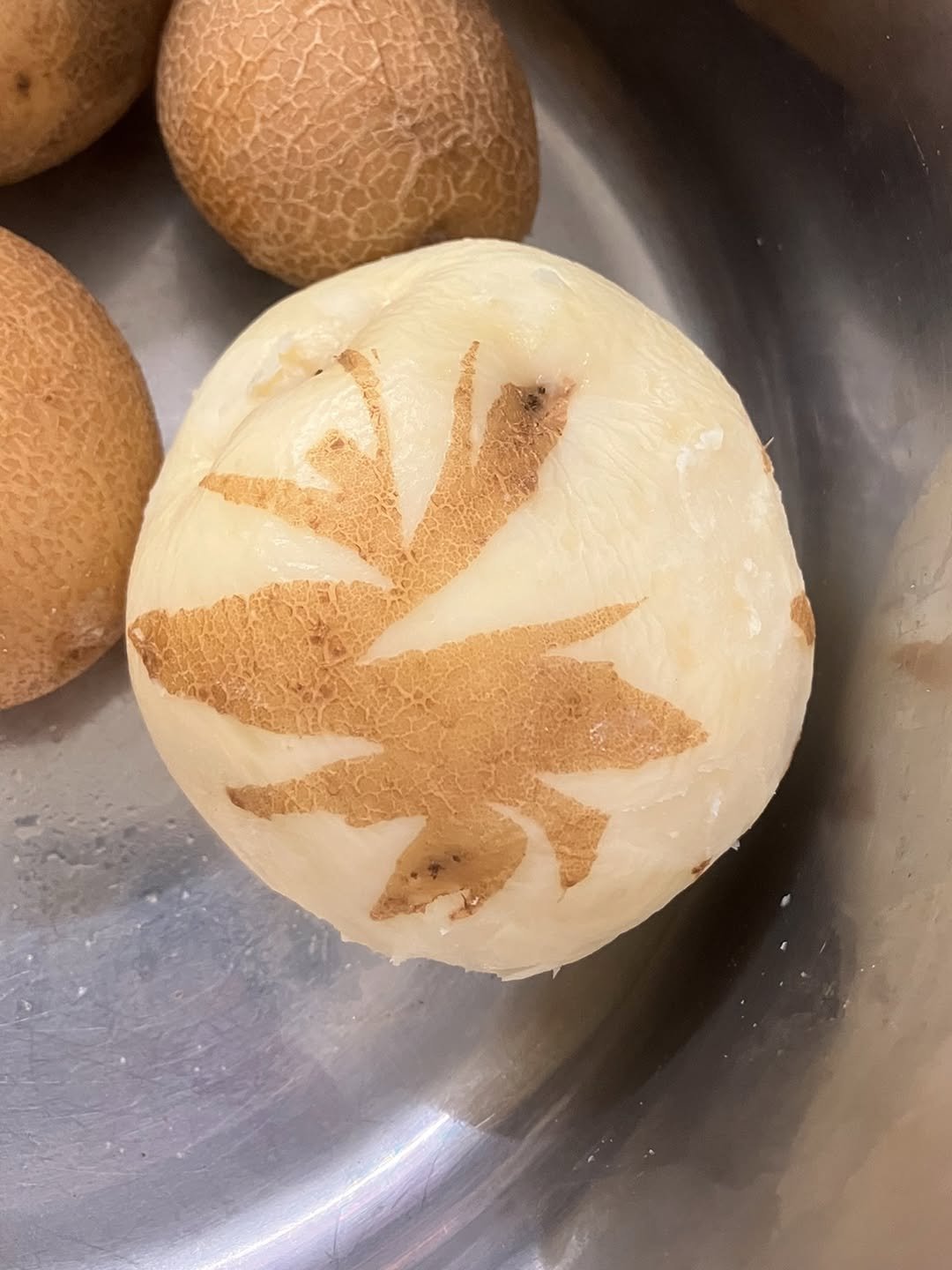 Photo by Moonsick Gang on September 09, 2025. May be an image of melon, fruit cocktail, longan, puffball mushroom and text.
