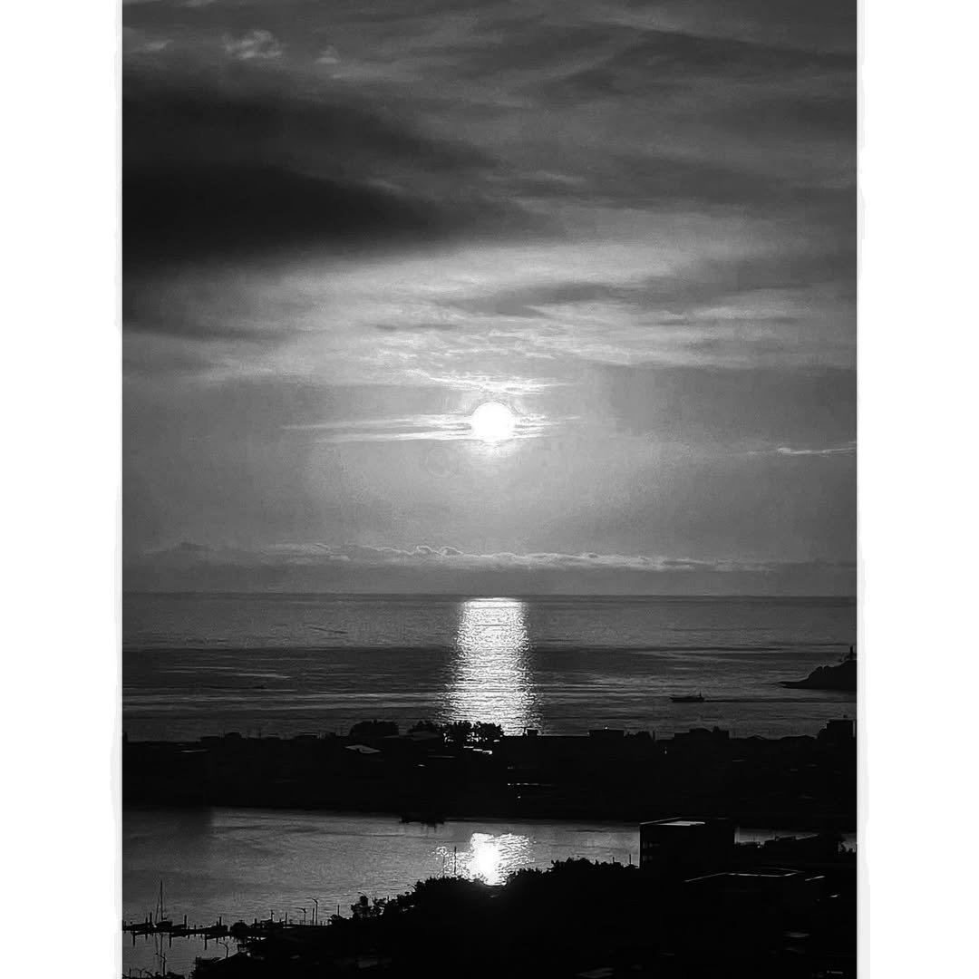 Photo by 속초 문우당서림 文友堂書林 on January 01, 2025.