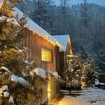 someonespage_forest 프로필 사진