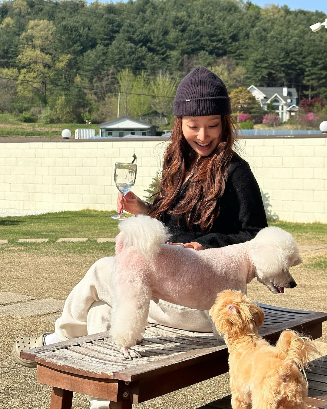 Photo shared by 문예원 on June 03, 2025 tagging @homiltagram. May be an image of Bedlington terrier.