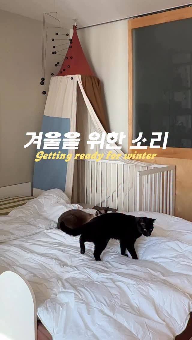 mopo.intheroom 게시물 이미지: 광고 • 사부작 바스락 딸깍 쓱쓱 소리로 준비하는 다음 계절! 급격히 찬바람이 불기...