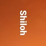 shiloh_busan 프로필 사진