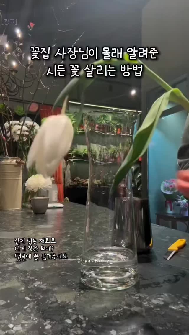 morefancy_ 게시물 이미지: 기념일에 받은 꽃이 시들어서
속상해했더니 꽃집 사장님이 알려준 꿀팁!
뭐 살...
