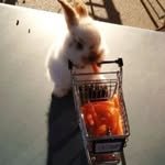 seoyseoa.pping 프로필 사진