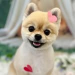 k_yanggaeng 프로필 사진