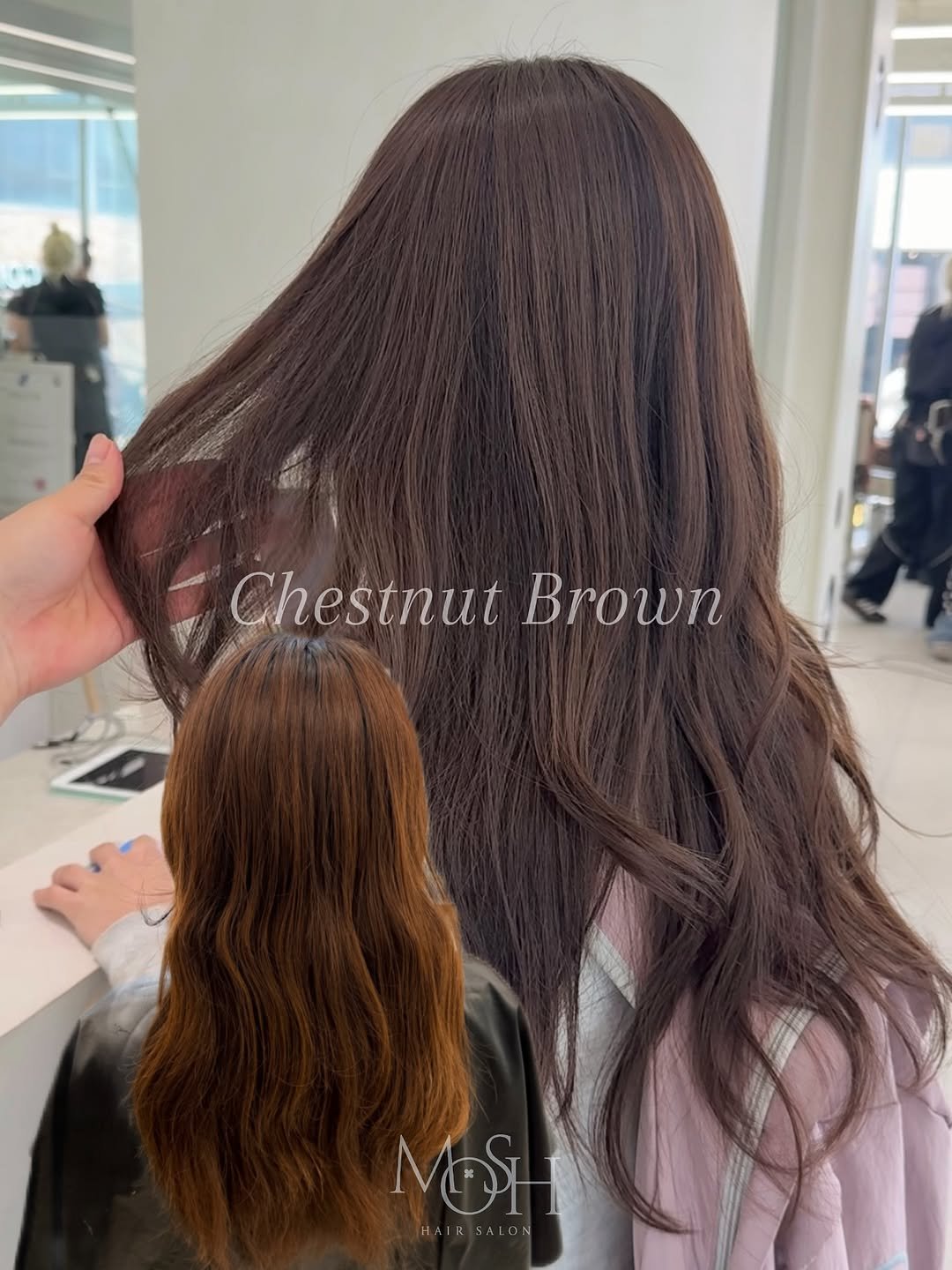 Photo by 모쉬 디자이너 냔 | 강남미용실 블랙빼기 브라운염색 백금발 in 강남 (Gangnam). May be an image of 1 person, braids, long hair and text that says 'ChestnutBrown Chestnut Brown MI HAIRSALON HAIR'.