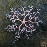 soojokguan 프로필 사진