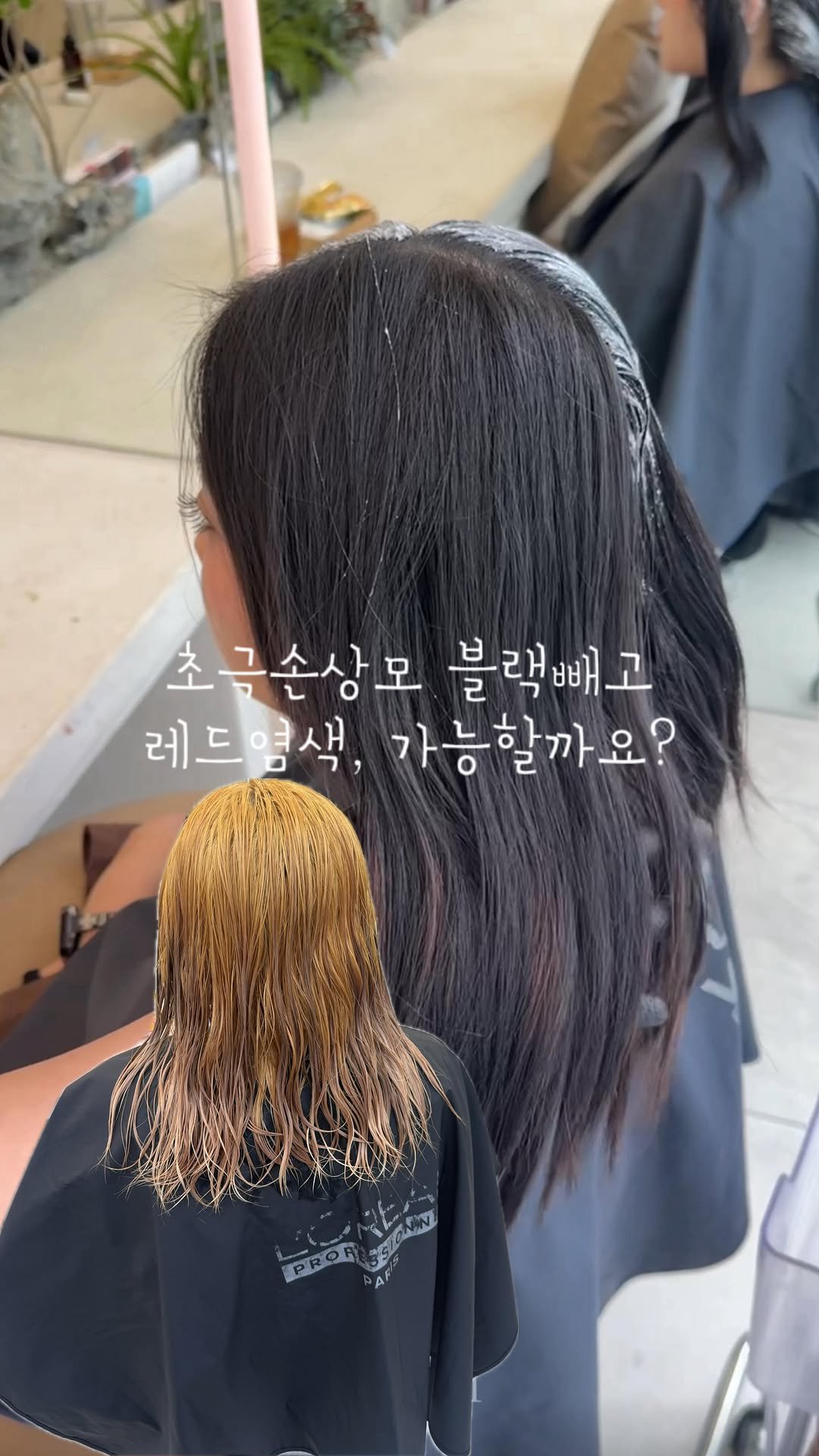 mosh__nyan 게시물 이미지: 초극손상모도 블랙빼기 가능하다구 ⬇️
안녕하세요 모쉬 냔쌤입니다🖤
저는 블랙이...