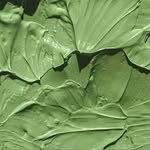 mine.d_you1 프로필 사진