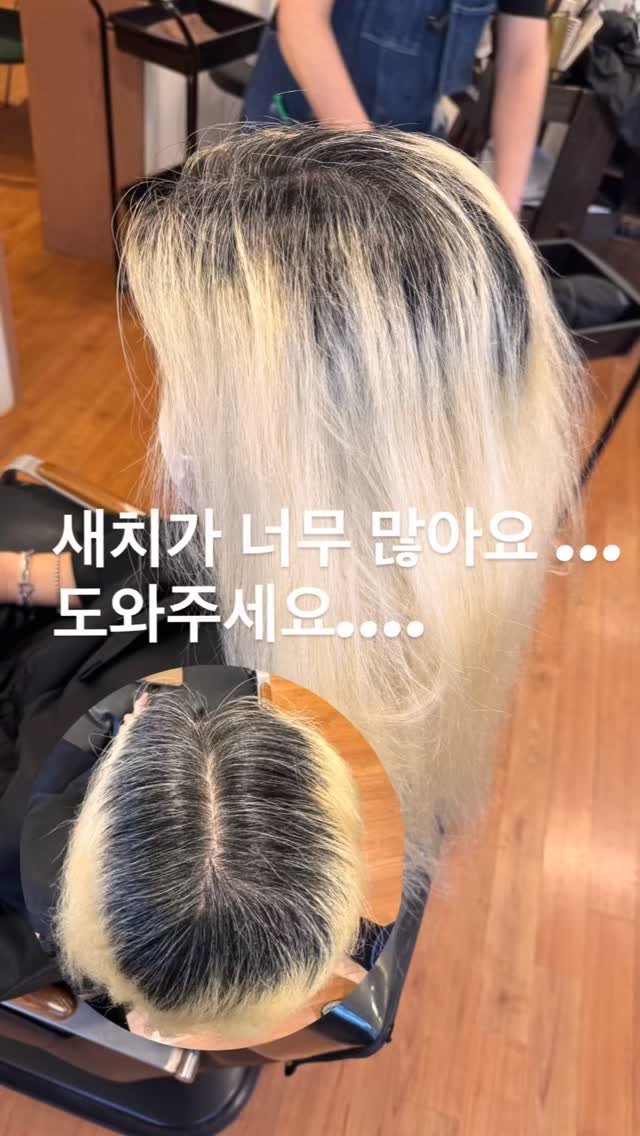 mosup__ 게시물 이미지: ⠀
⠀
홍대미용실 망한머리전문
컬러일타작가 주영디렉터입니다

📍흰머리때문에 고민이...