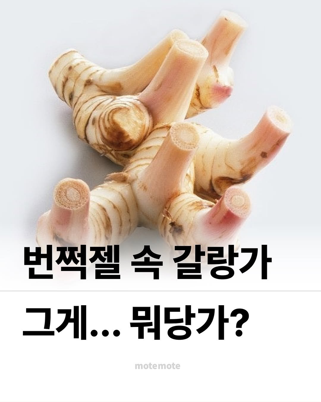 Photo by 모트모트 오피셜 on August 18, 2025. May be an image of vegetable and text that says '번쩍젤 속 갈랑가 그게...뭐당가? 그게... 뭐당가? motemote'.