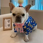 hi_zini 프로필 사진