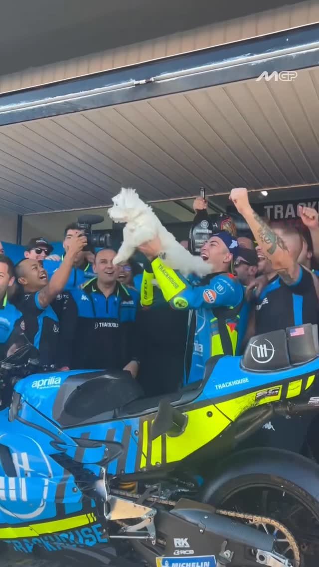 motogp 게시물 이미지: Pancho or Simba? 😂 

#ValenciaGP 🏁 #MotoGP...