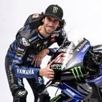 alexrins 프로필 사진