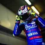 tony_arbolino 프로필 사진