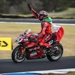 nicolo_bulega11 프로필 사진