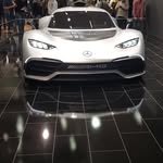 wildwheelwonder 프로필 사진