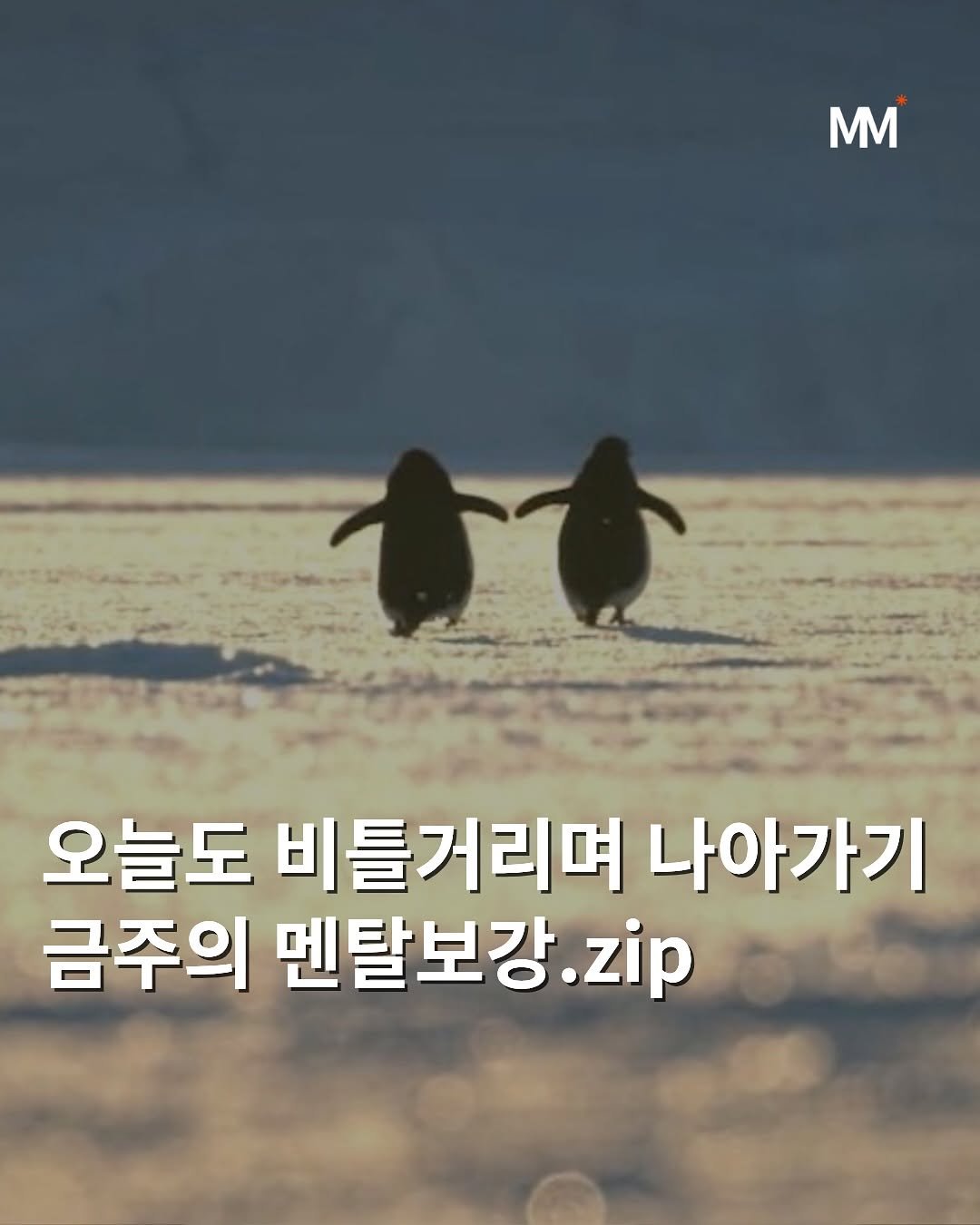 Photo by 뭅티베이션(Move+Motivation) | 실천하는 동기부여•자기계발•인사이트•성공 on October 23, 2025.