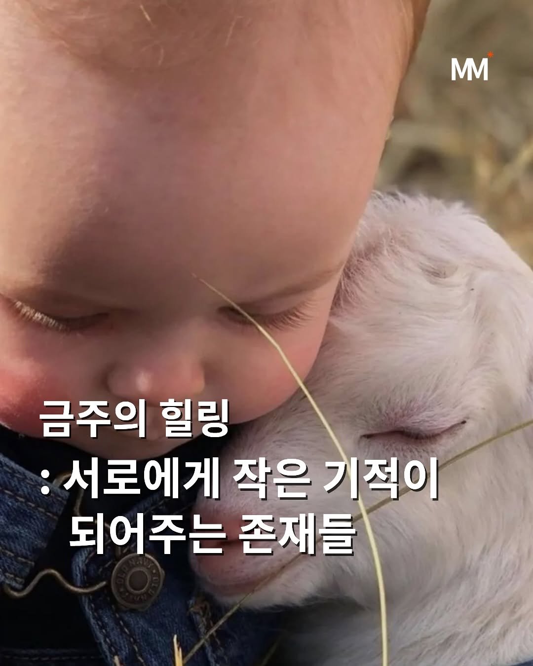 Photo by 뭅티베이션(Move+Motivation) | 실천하는 동기부여•자기계발•인사이트•성공 on October 25, 2025.