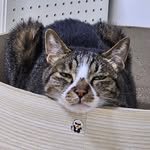 moveplay__ 인스타그램 프로필 사진