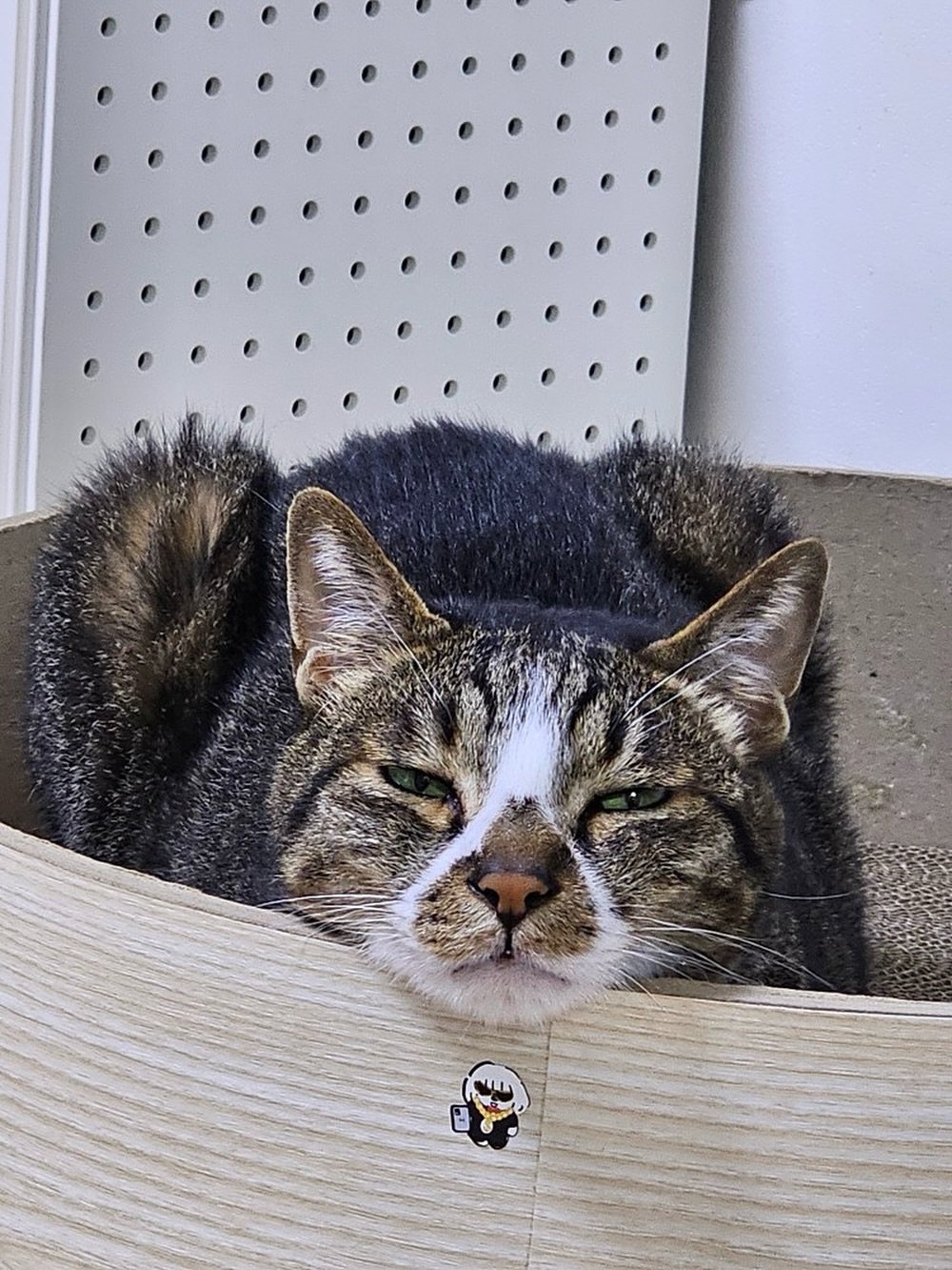 Photo by 장정원 on August 14, 2025.